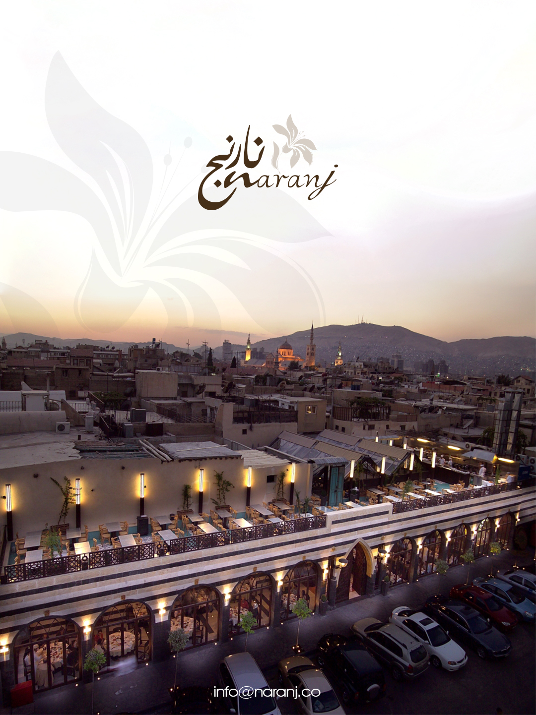 الصورة الرئيسية